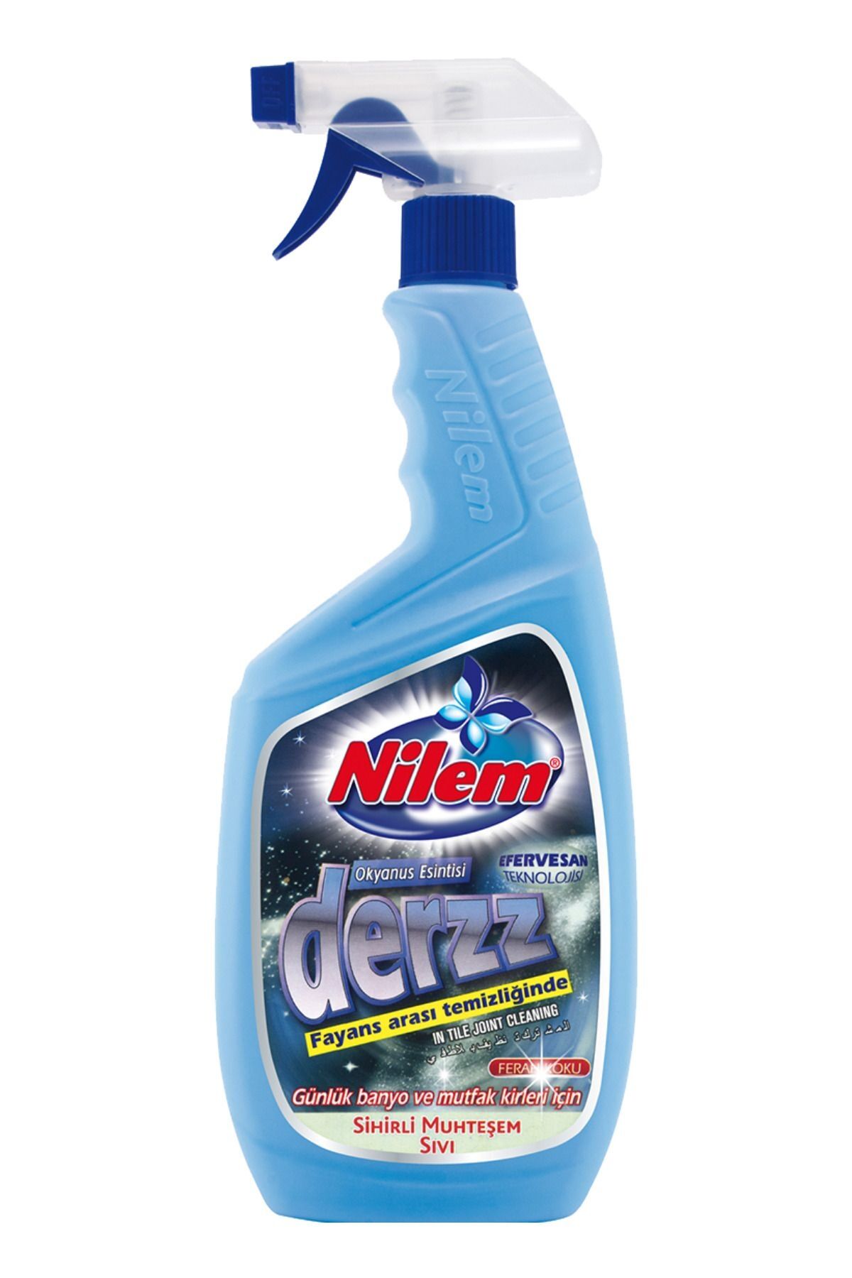 Derz Temizleyici 750 ML